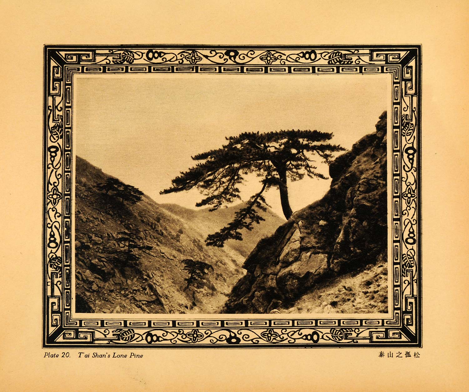 1930 Photogravure T'ai Shan Lone Pine China Holy Mountain Shantung XGA3