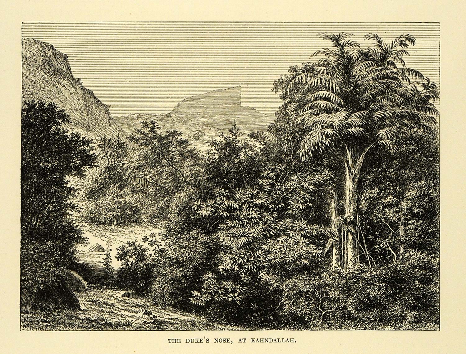 1878 Wood Engraving Duke's Nose Kahndallah India Landscape Scenery Tree Art XGA4