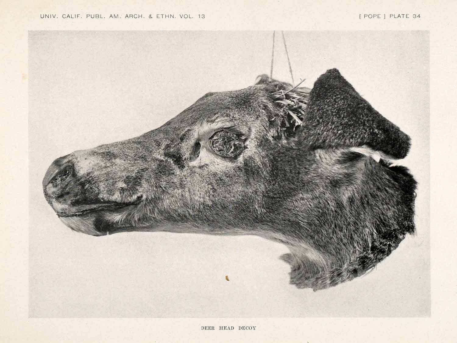 1923 Print Yahi Yana Deer Head Decoy Indigenous Tribe Native American XGAA3
