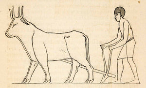 1836 Wood Engraving Egyptian Agriculture Farmer Plowing Oxen Yoke XGAA9