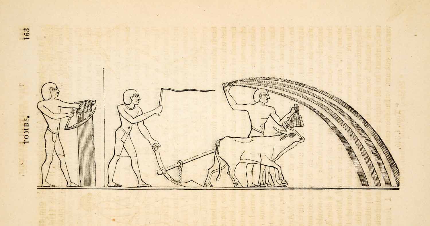 1836 Wood Engraving Egyptian Farmers Ox Plow Seed Thresh Wheat Whip XGAA9
