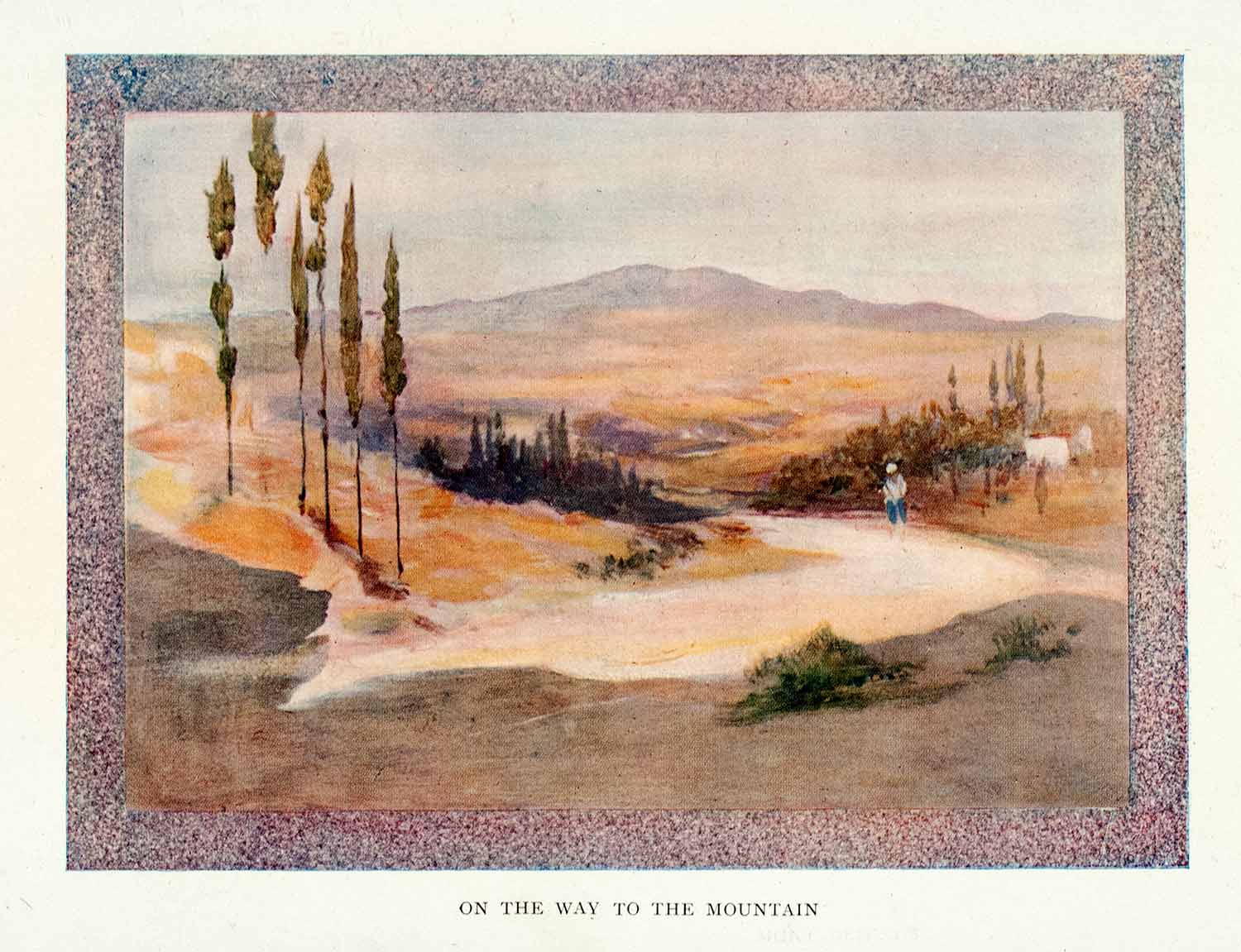 1909 Color Print Path Way Mountain Tuscany Italy Ward Cypress Tree XGAB3