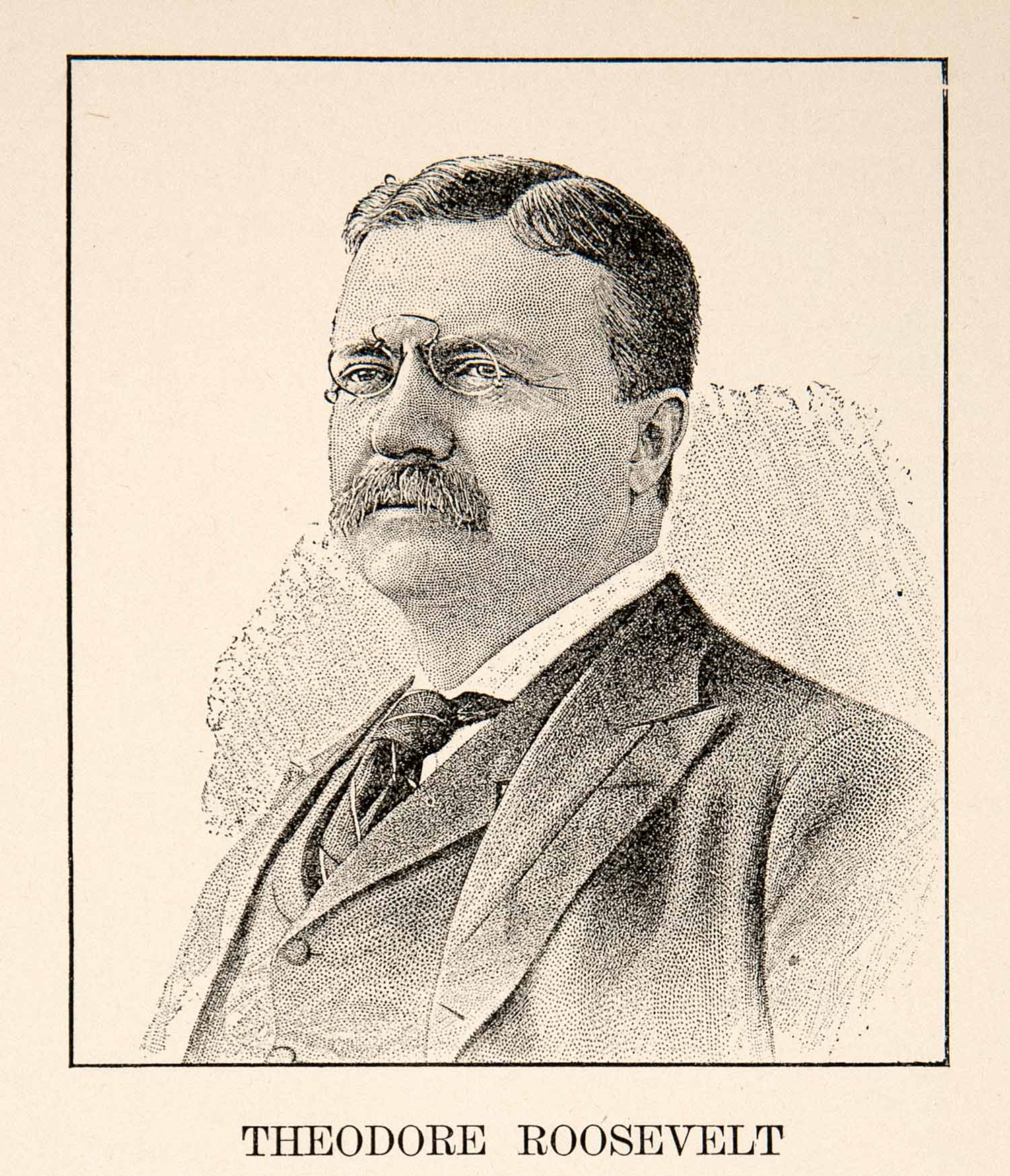 Teddy Roosevelt President