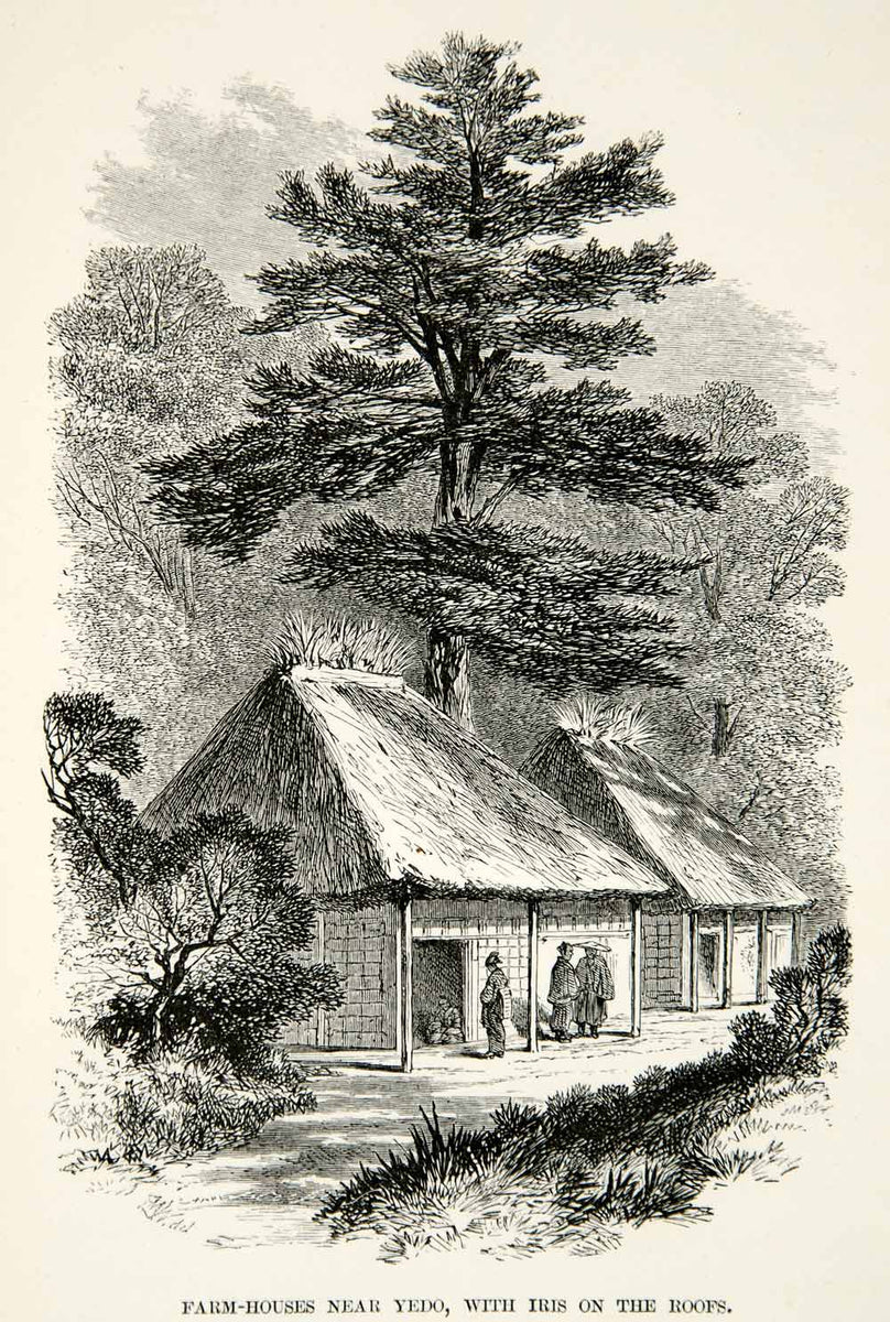 1863 Wood Engraving Farm House Yedo Edo Japan Iris Flower Thatch Roof ...