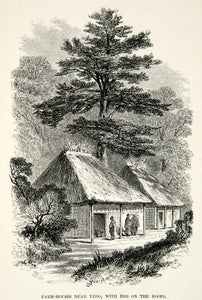 1863 Wood Engraving Farm House Yedo Edo Japan Iris Flower Thatch Roof XGAD2