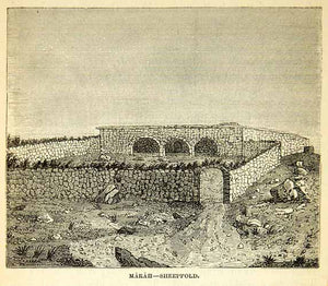 1858 Wood Engraving Art Sheepfold Marah Lebanon Middle East Agriculture XGAD7