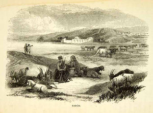 1858 Wood Engraving Art Usdud Middle East Goat Herd Livestock Arab XGAD7