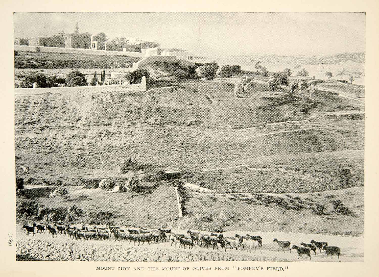 1897 Print Mount Zion Olives Jerusalem Israel Goat Herd Biblical Landmark XGAE9
