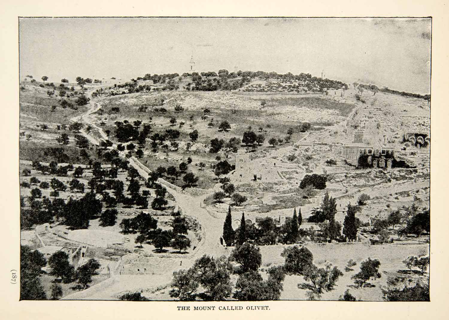 1897 Print Mount Olives Olivet Jerusalem Natural History Landmark Israel XGAE9