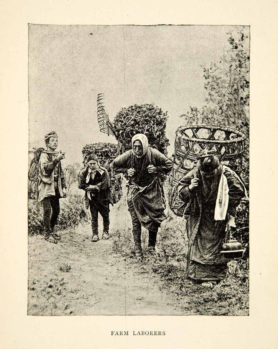1902 Print Farm Laborer Agriculture Basket Rake Japan Peasant Historic ...