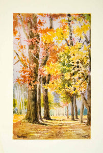 1915 Color Print Colonel H H Hart Autumn Fall Leaves Shadipur Sanghol XGAF6