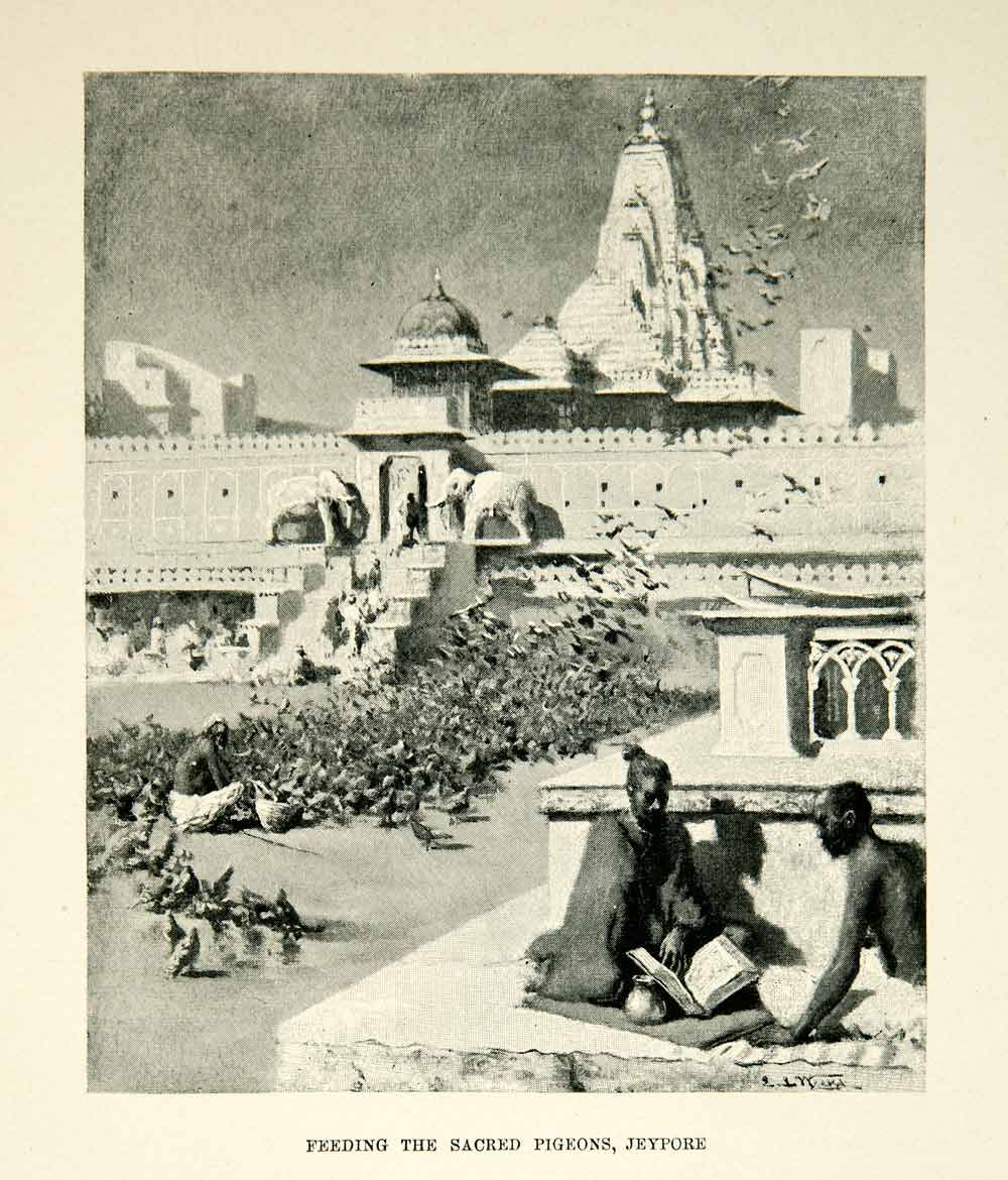 1896 Print Sacred Pigeons Jeypore India Edwin Lord Weeks Birds Men XGAF9
