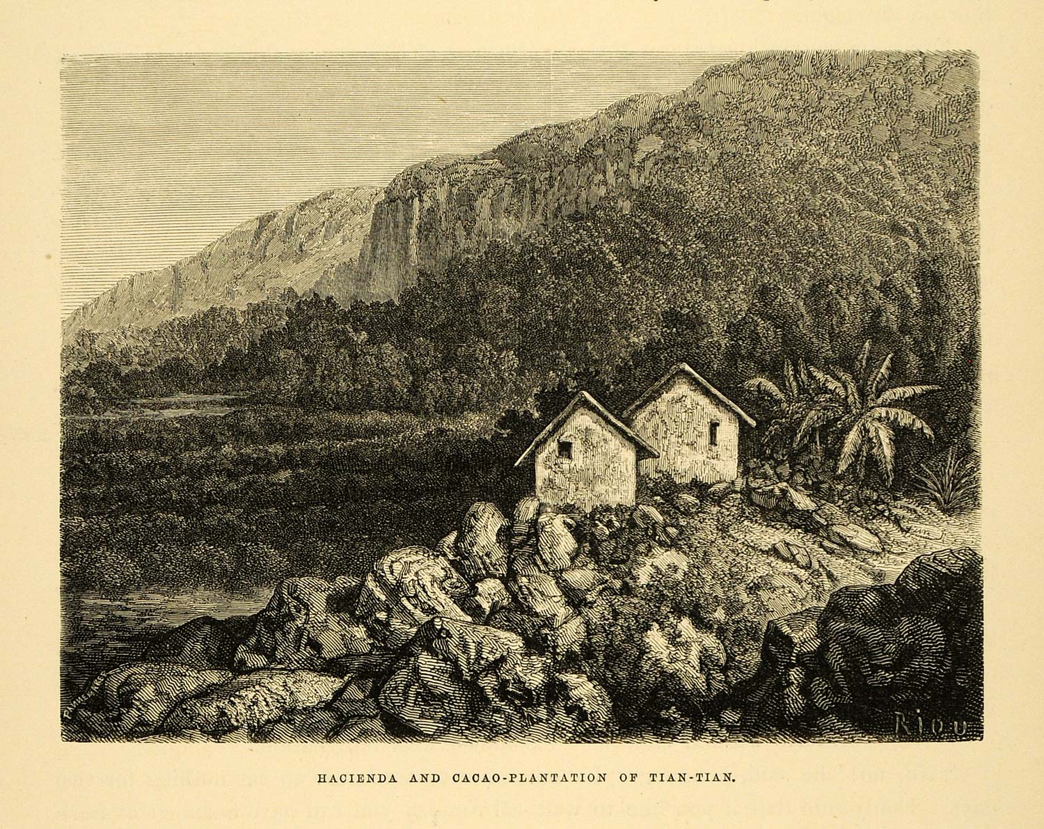 1875 Wood Engraving Hacienda Cacao Plantation Tian Tian Landscape Peru XGB3