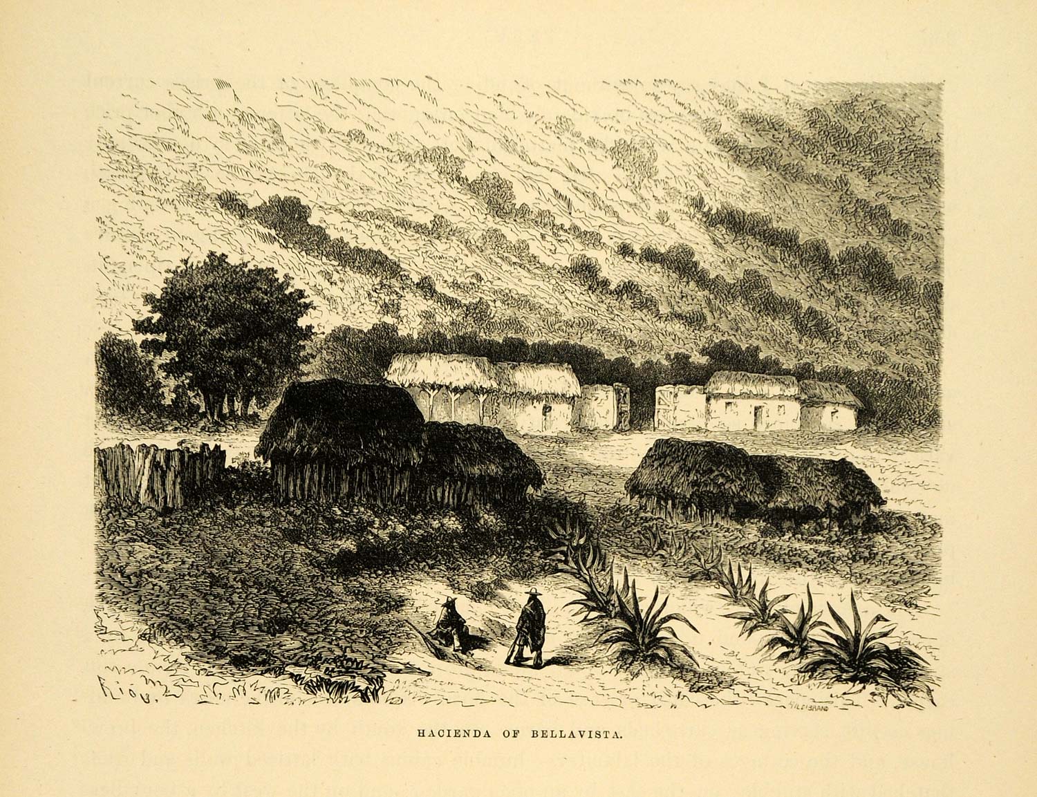 1875 Wood Engraving Bellavista Hacienda Farm Houses Agriculture Peru XGB3