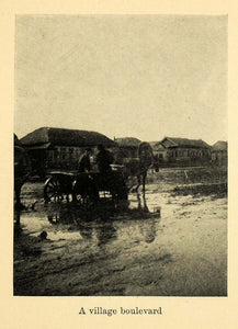 1907 Print Village Boulevard Horse Cart Town Russia Equine Transportation XGB5