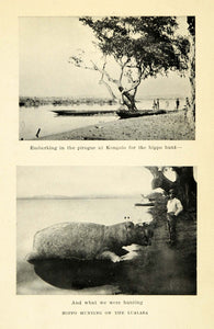 1925 Print Hippopotamus Hippo Kongolo Hunting Lualaba Congo River Katanga XGB6