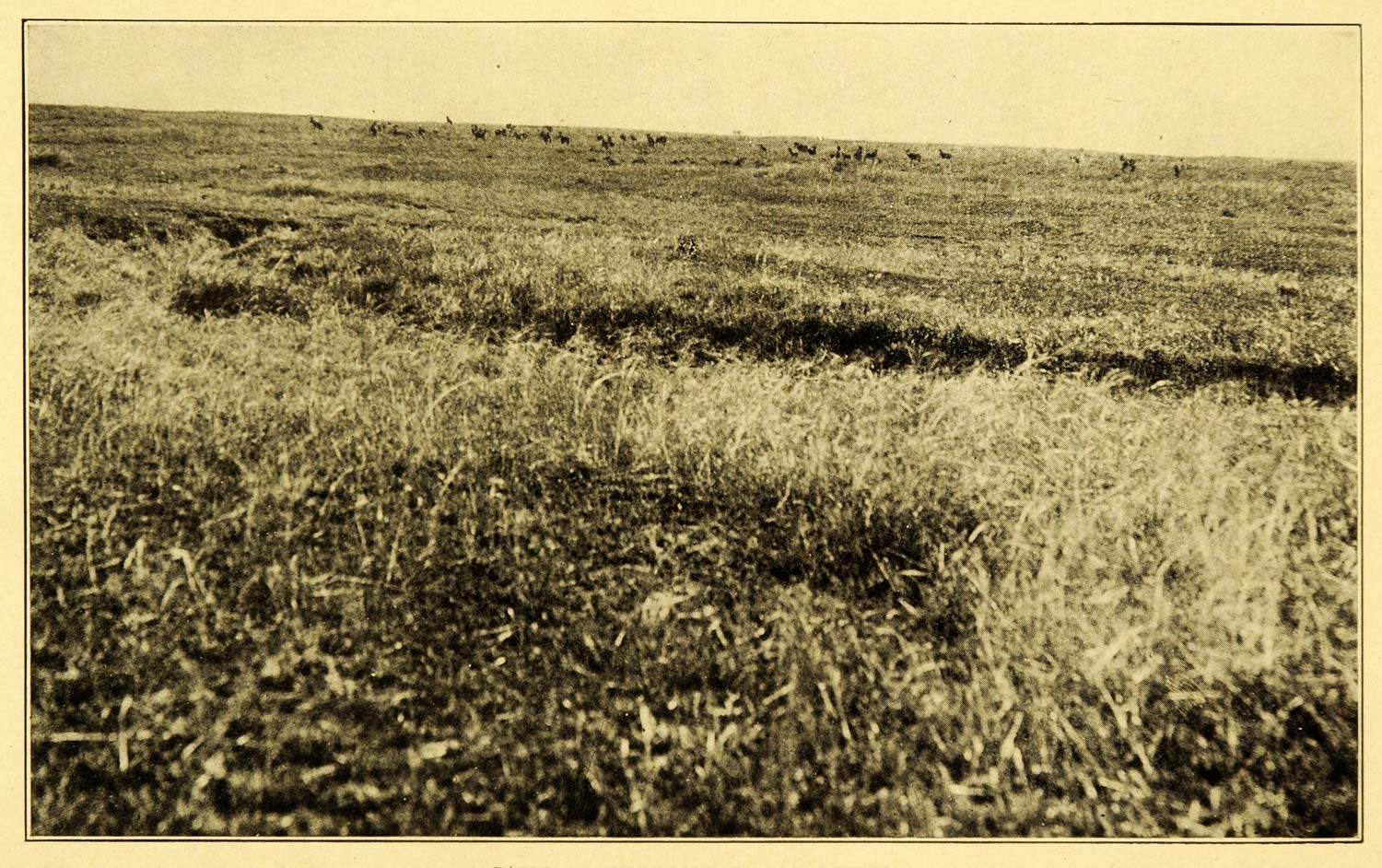 1909 Print Game Hunting Naivasha Rift Valley Kenya Province Peter Dutkewich XGB8