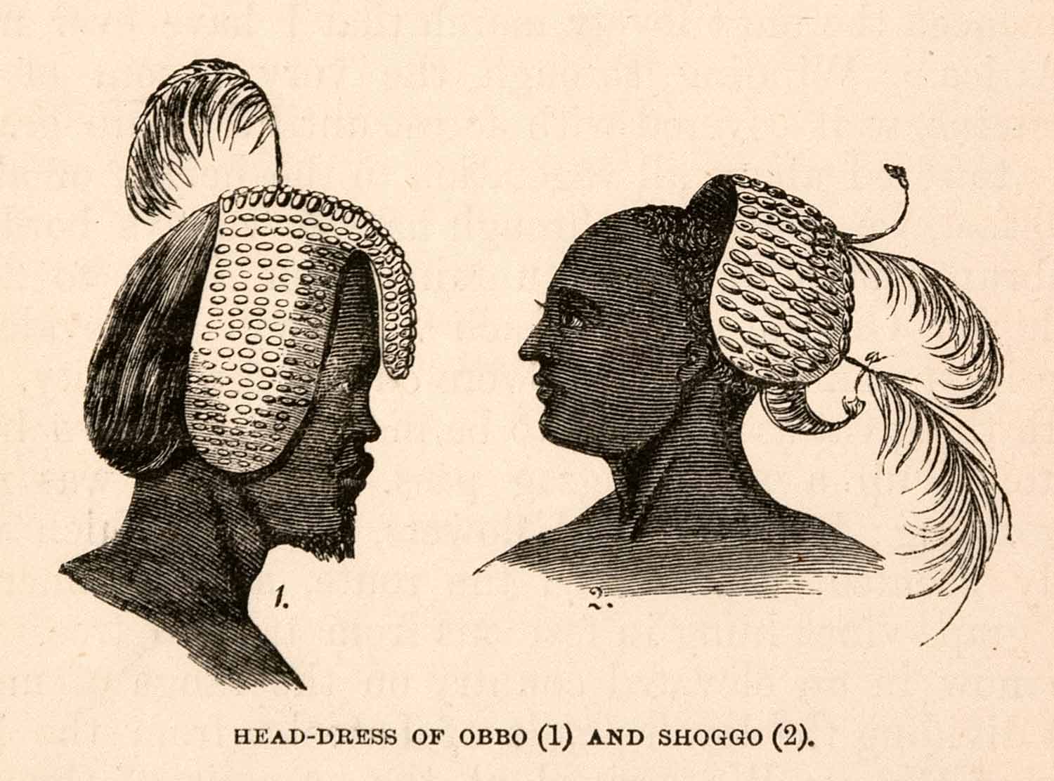 1868 Wood Engraving Head Dress Obbo Shoggo Africa Tribe Latooka Feather XGBA1