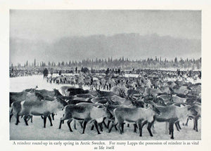1951 Halftone Print Reindeer Caribou Herd Lapps Sweden Landscape Tundra XGBA8
