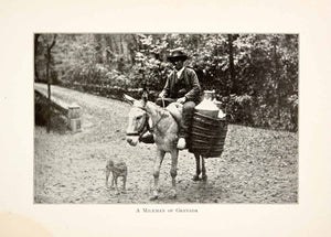 1901 Print Milkman Granada Spain Portrait Donkey Dog Landscape Costume XGBB3