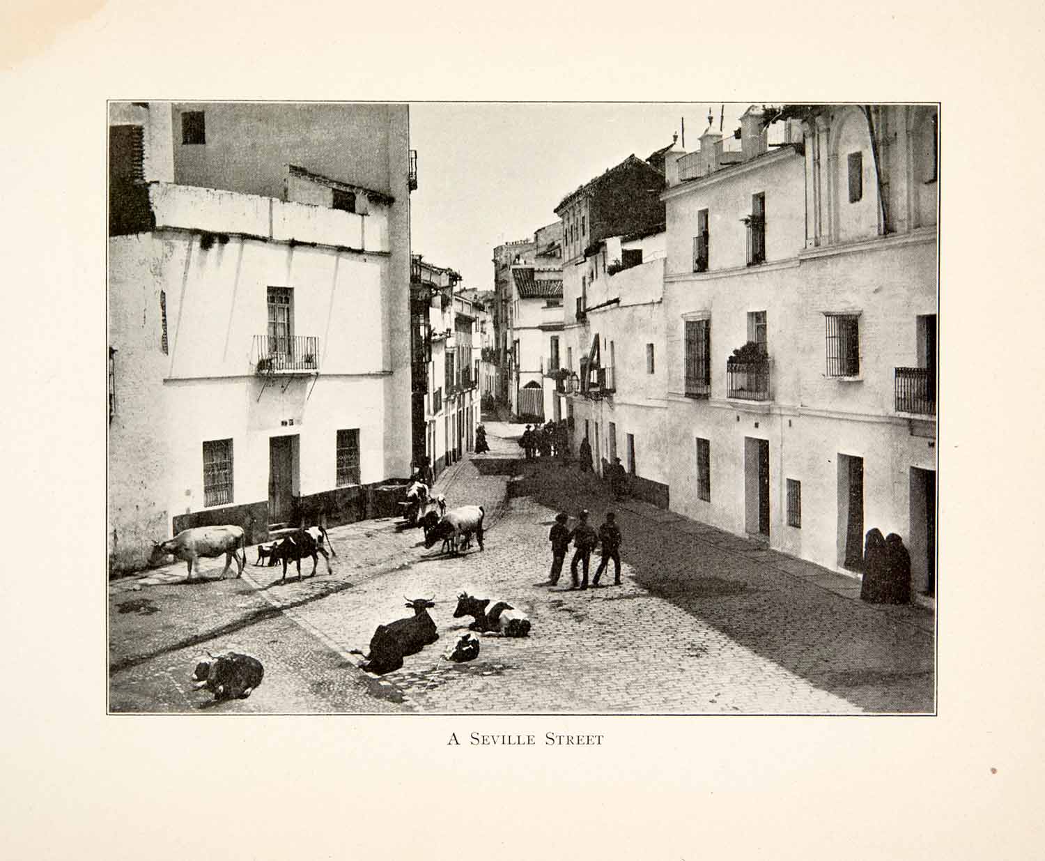1901 Print Seville Street Scene Spain Historic Cattle Architecture XGBB3