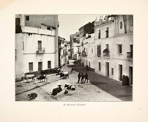 1901 Print Seville Street Scene Spain Historic Cattle Architecture XGBB3