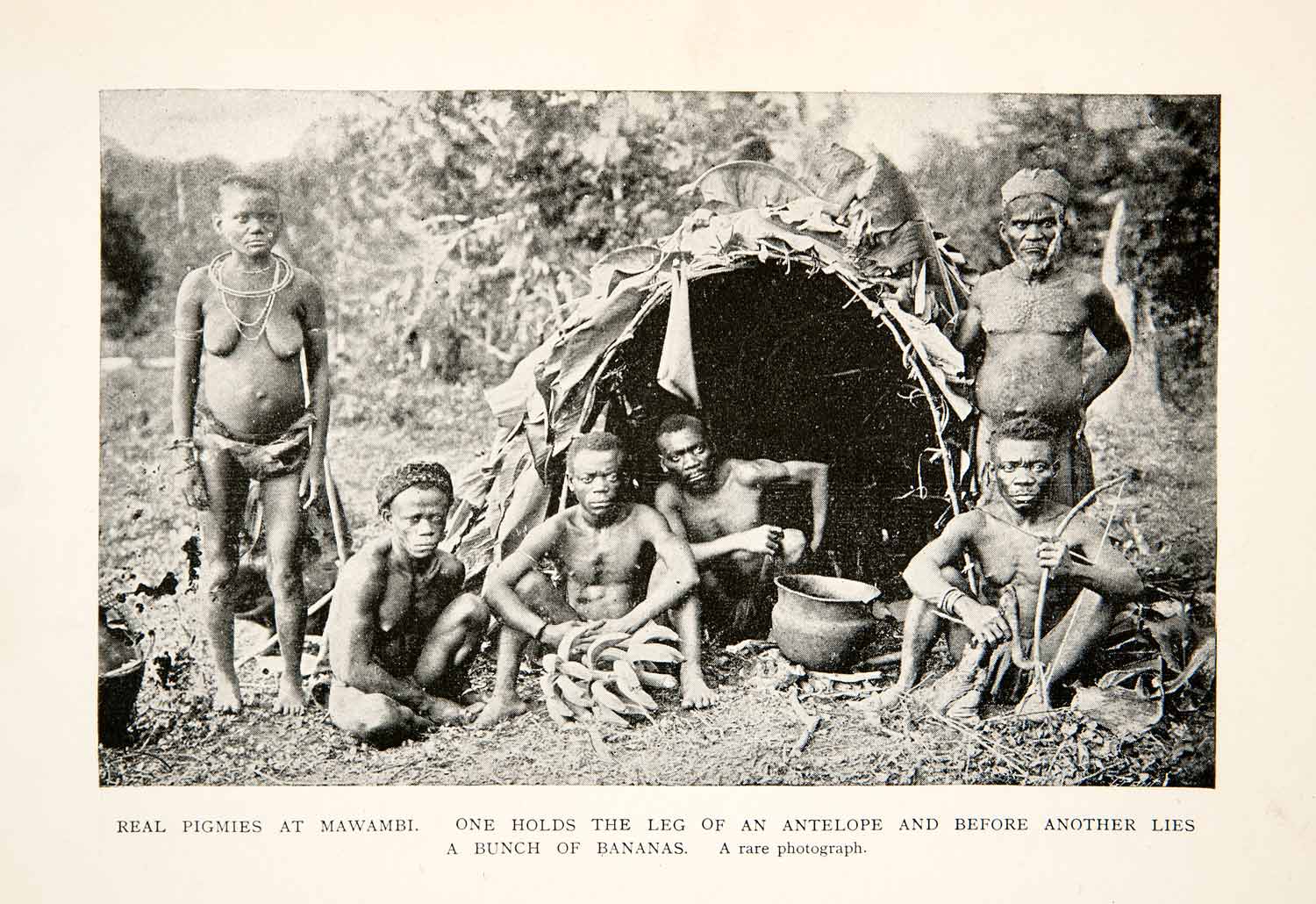 1905 Print Indigenous Tribal Africa Pygmies Mawambi Hunters Huts Congo XGBC7