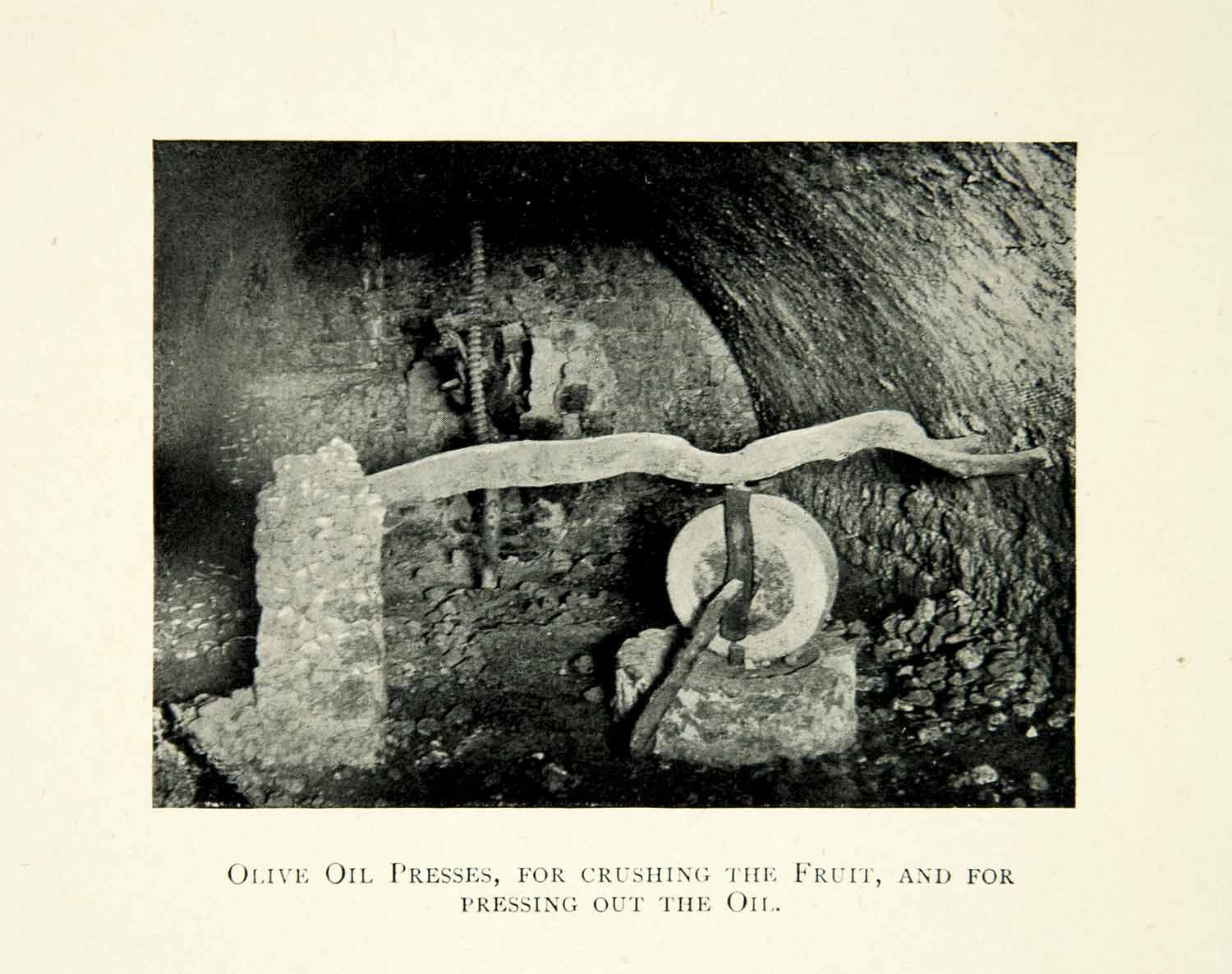 1904 Print Olive Press Fruit Process Crushing Primitive Agriculture XGBD5