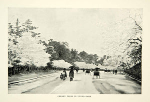 1899 Print Cherry Blossom Tree Uyeno Park Japan Landscape Road Botanical XGBD8