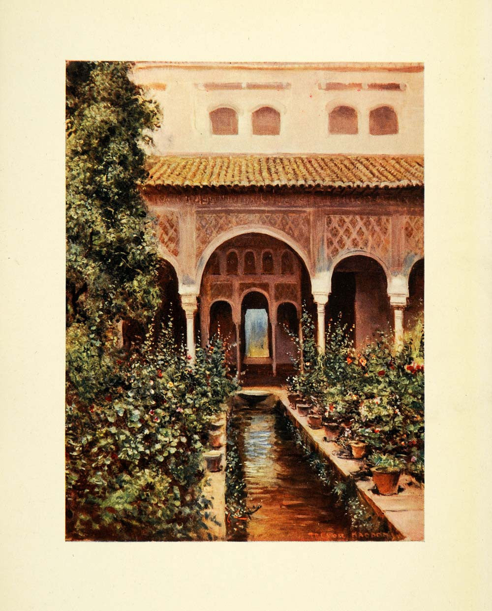 1908 Print Trevor Haddon Floral Art Generalife Botanical Gardens Granada XGC5 - Period Paper
