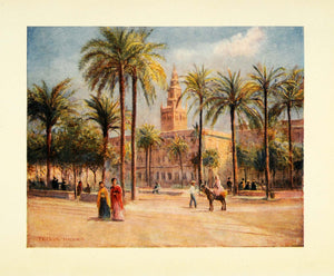 1908 Print Trevor Haddon Art Seville Spain Plaza de San Fernando XGC5