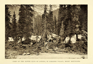 1911 Print Camp Alpine Club Canada Paradise Valley Rocky Mountains Pine XGC6