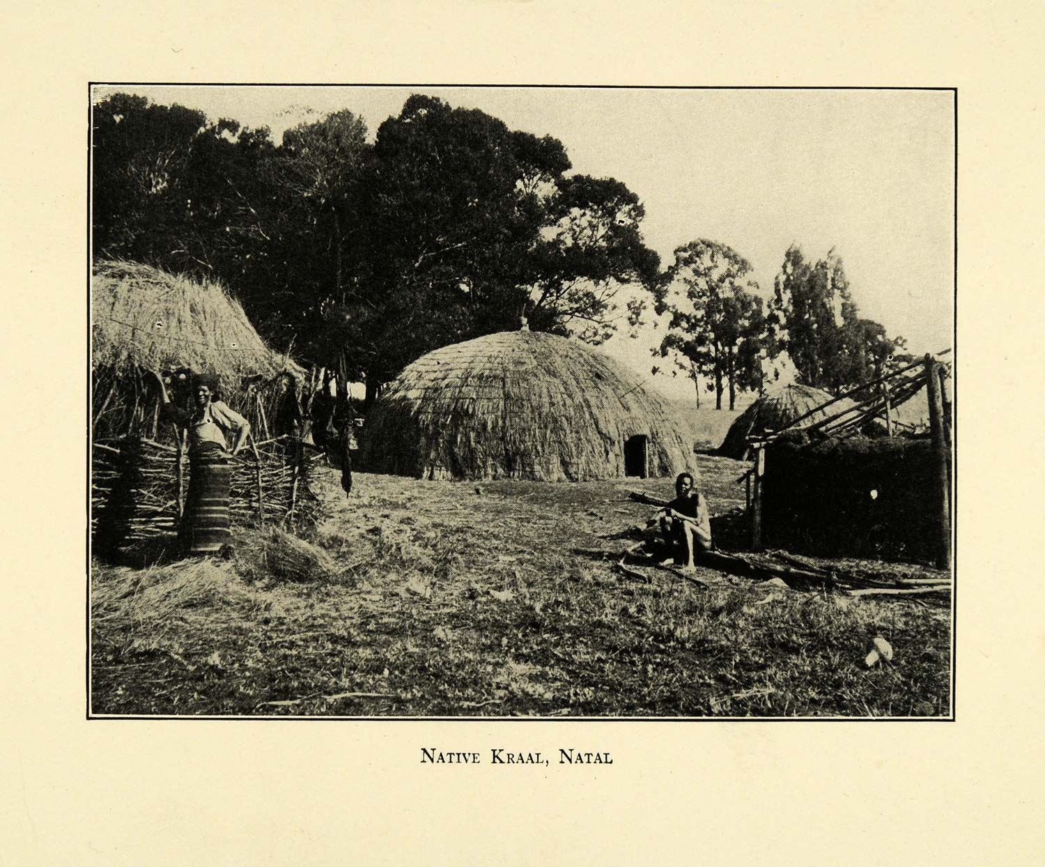 1927 Print Native Kraal Natal South Africa Tribe Hut Livestock Farming XGC8
