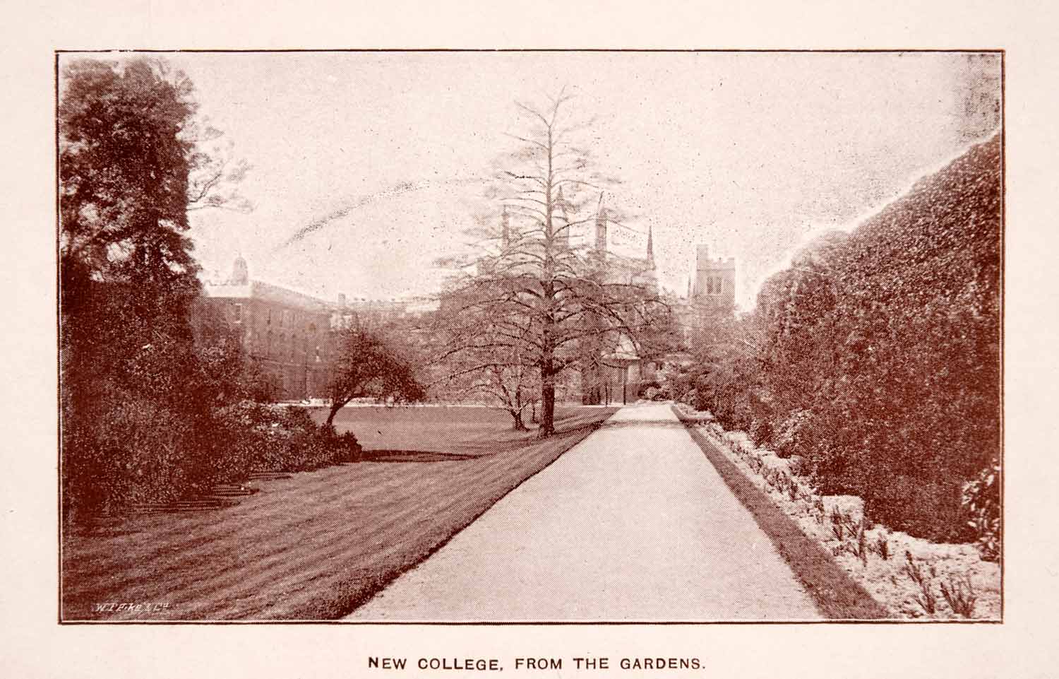 1900 Print New College Oxford Gardens Pathway University Groomed Buildings XGCA4