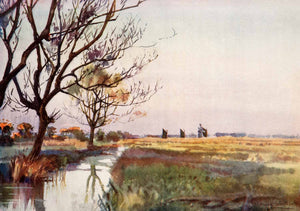 1906 Print Frank Southgate Marshland Barton England River Stream Swamp XGCA5