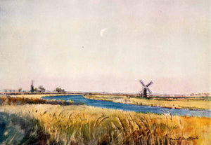 1906 Print Frank Southgate StOlaves Windmill River Stream Marsh Wetlands XGCA5