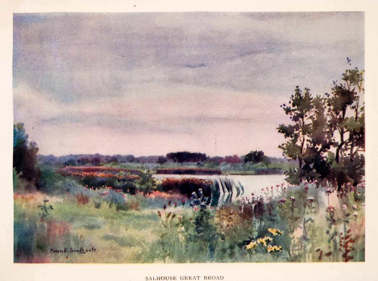 1906 Print Frank Southgate Salhouse Lake Marsh River Flowers Wetlands Art XGCA5