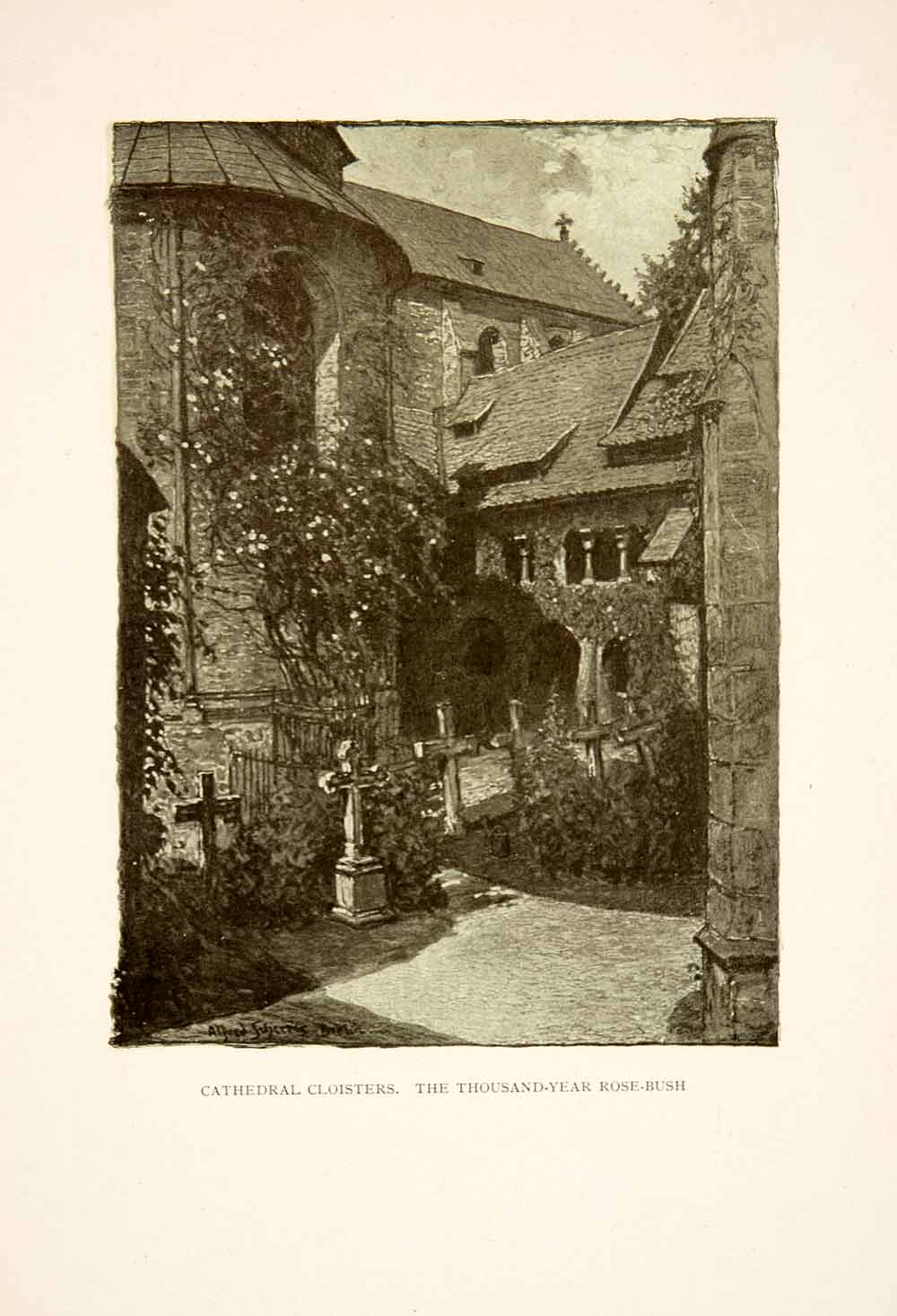 1909 Photolithograph Goslar Cathedral Cloister Rose Bush Grave Germany XGCB3