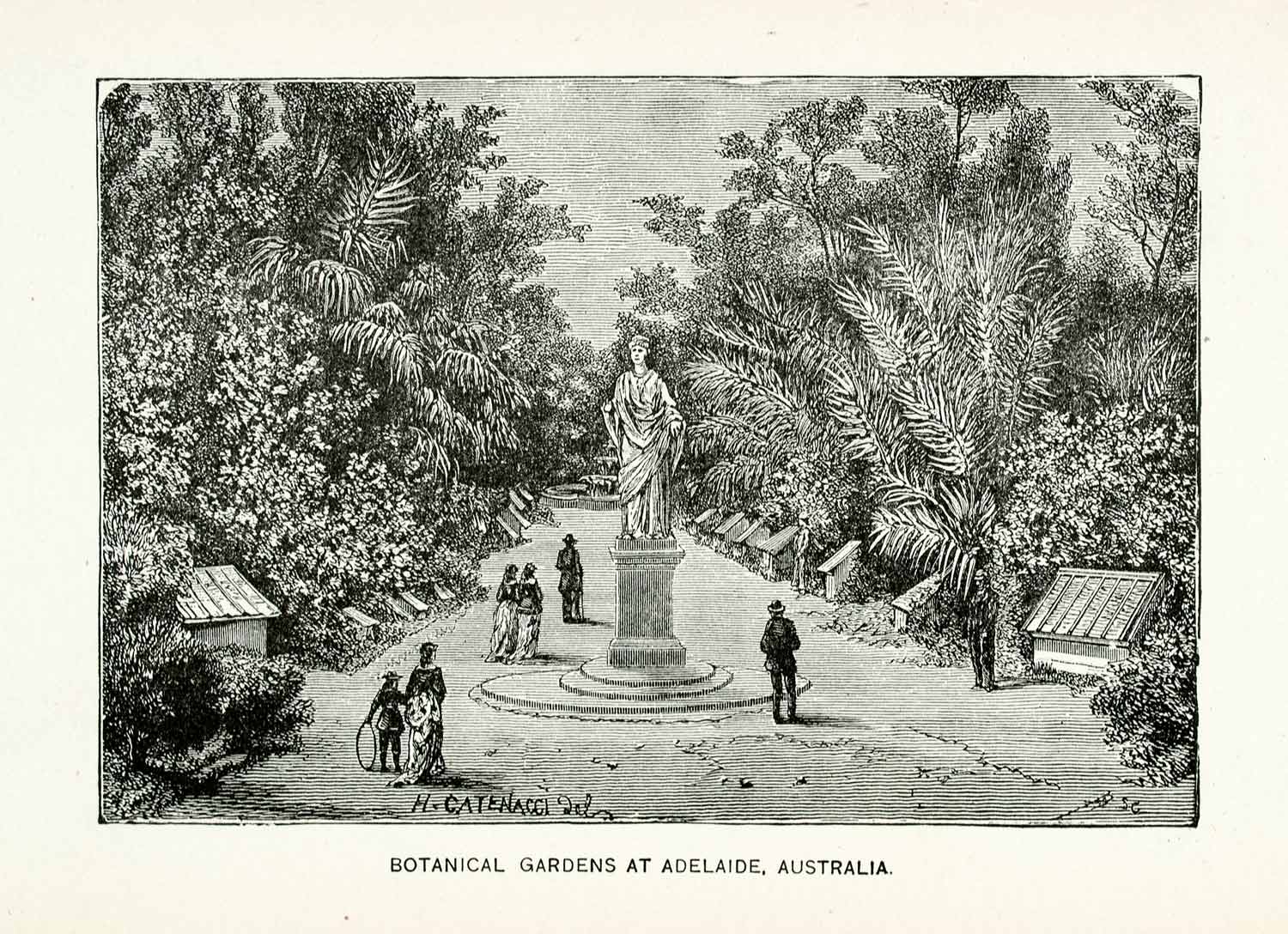 1888 Wood Engraving Botanical Gardens Adelaide South Australia Statue XGCB5