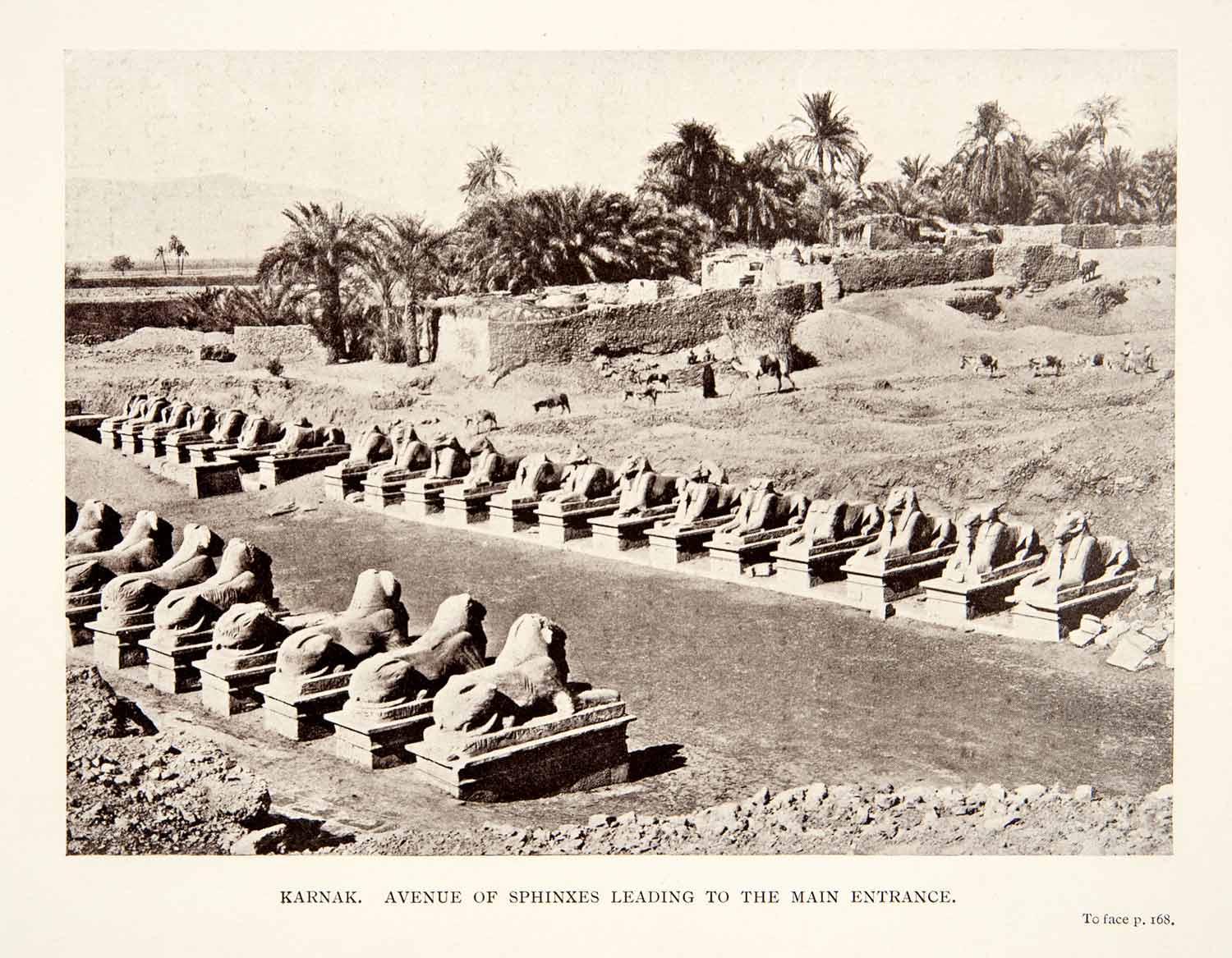 1911 Print Karnak Avenue Sphinx Main Entrance Egypt Africa Ruins Kingdom XGCC3