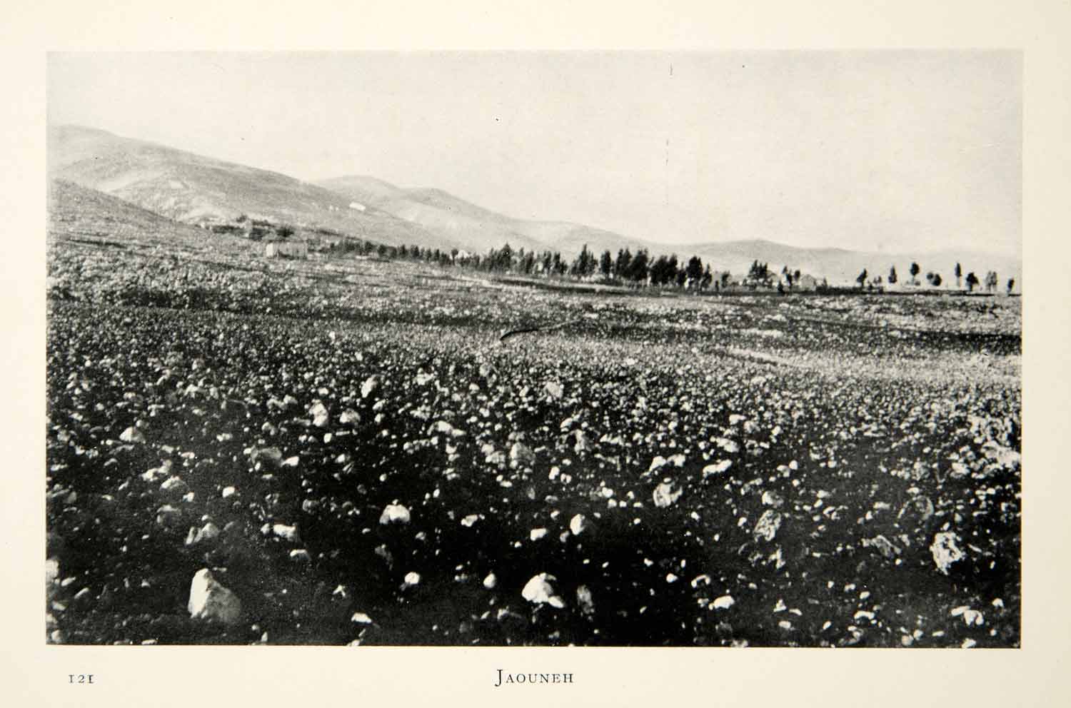 1905 Print Jaouneh Field Plain Landscape Middle East Mountains Nature XGCD8