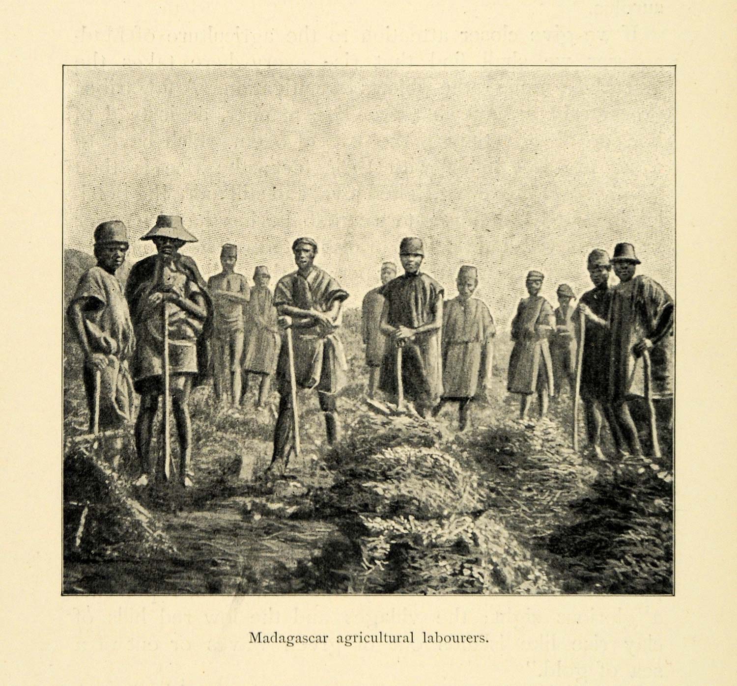 1901 Print Madagascar Agricultural Laborers Cultural Farming Tools XGD8
