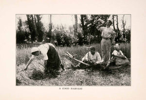 1905 Print Good Harvest Workmen Ladies Hand Tools Field Farming Tree Crop XGDA1