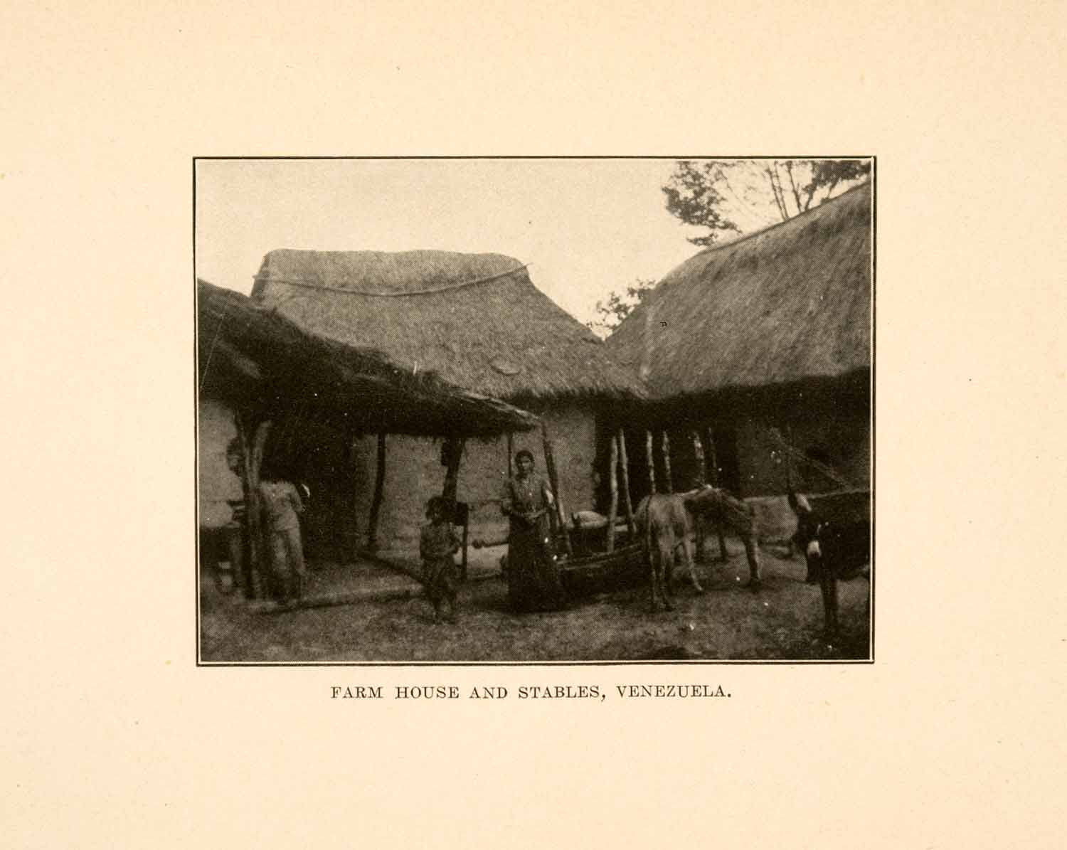 1908 Print Farm House Stable Venezuela South America Hut Cow Horse Family XGDA2