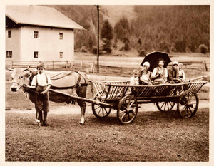 1937 Photogravure Bullock Ox Cart Alpine Transportation Austrian Family XGDA6