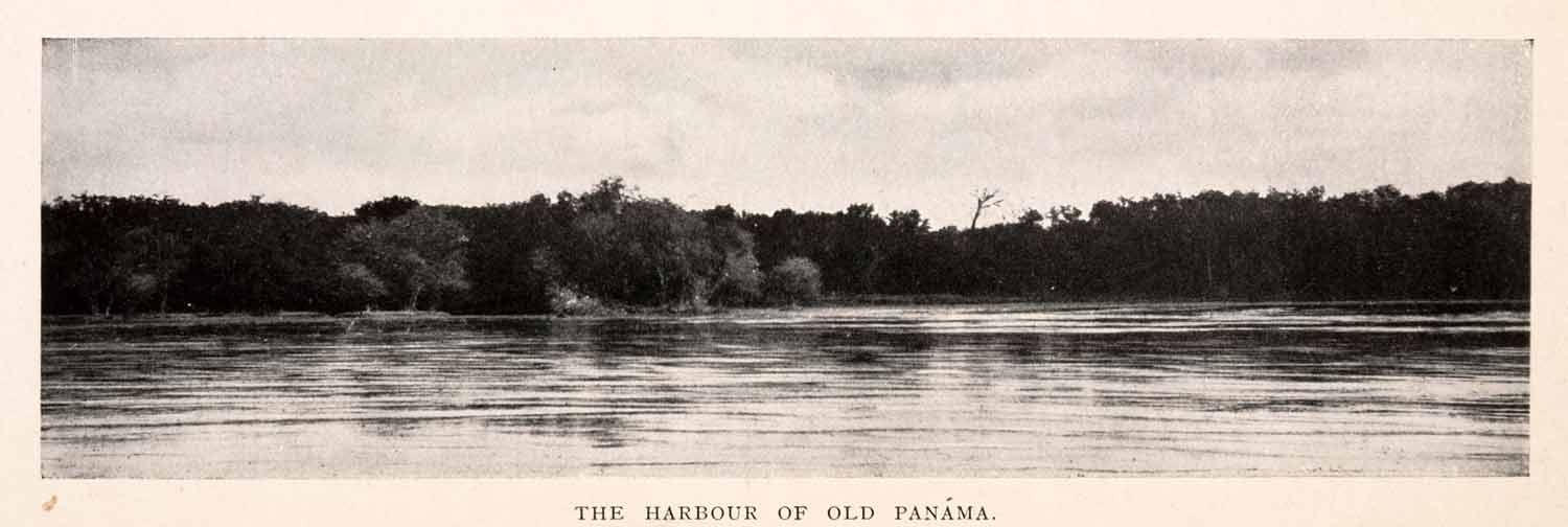 1925 Print Panorama Harbour Old Panama Landscape Natural History Forest XGDA7