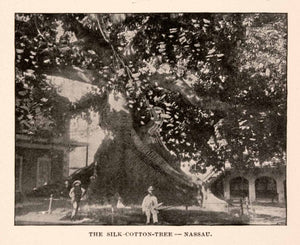 1893 Halftone Print Silk Cotton Tree Town Square Nassau Bahamas Caribbean XGDA9