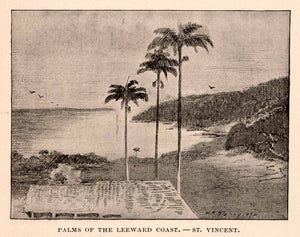 1893 Halftone Print Leeward Coast Palm Trees Saint Vincent Grenadines XGDA9