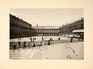 1902 Photogravure Venice Venezia Italy Saint Mark Square Pigeon Tourist XGDB6