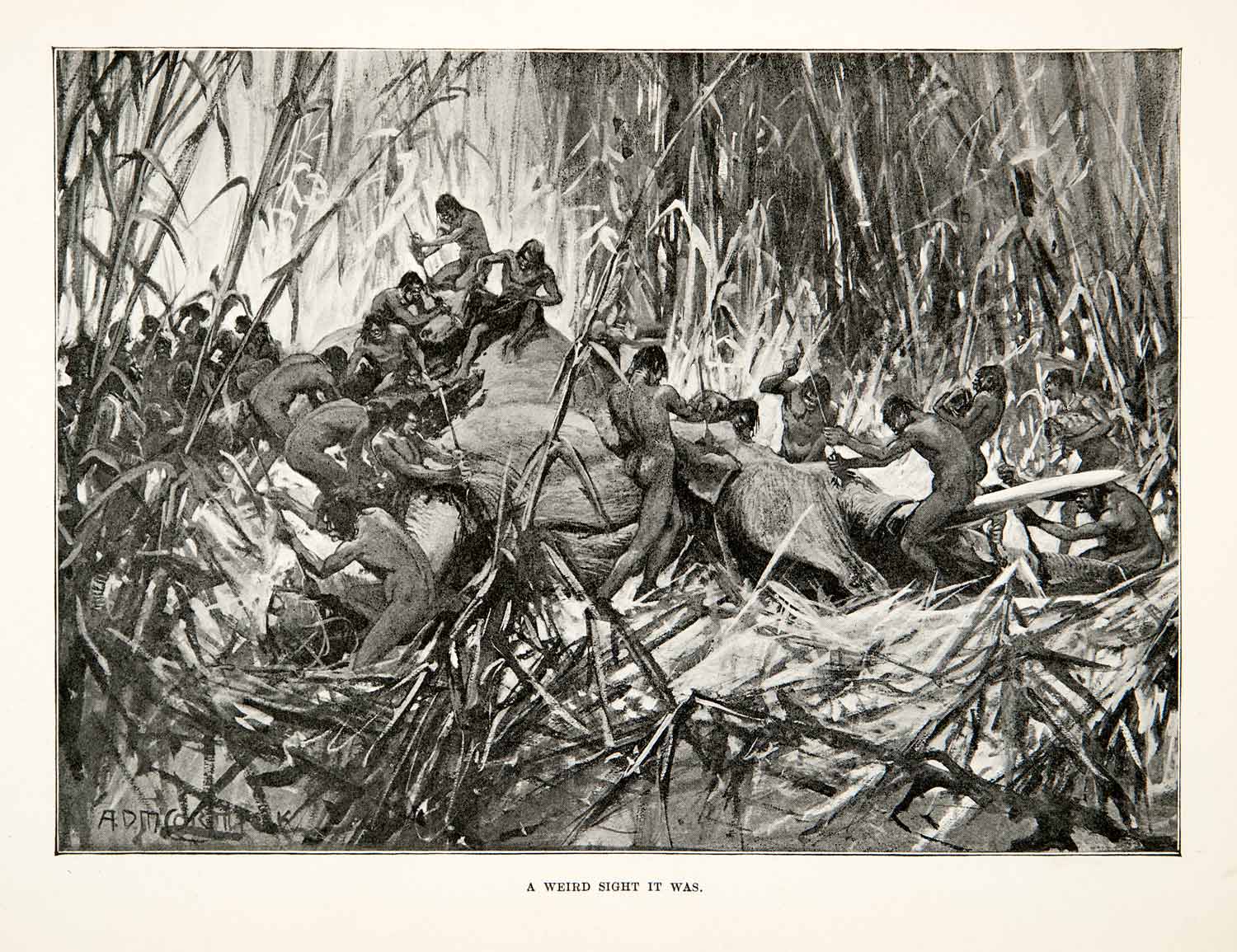1900 Print Elephant People Nude Africa Plants Tusk Butcher Slaughter X